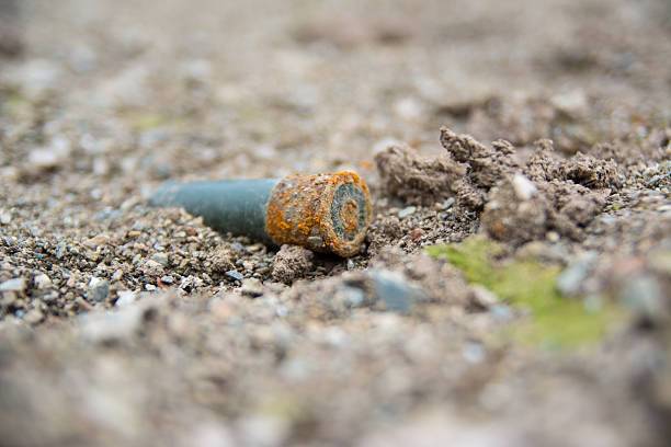 istock Hunting cartridges for shotgun 470849425