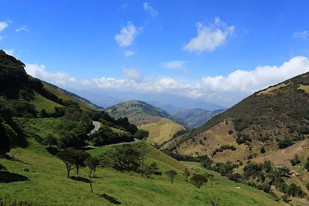 This landscape is at 3,000 meter above sea level in Tachira, Venezuela. Paramo La Negra y Batallon.