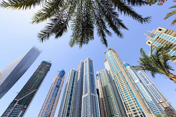 istock Dubai Marina buildings with palm tree 470855836