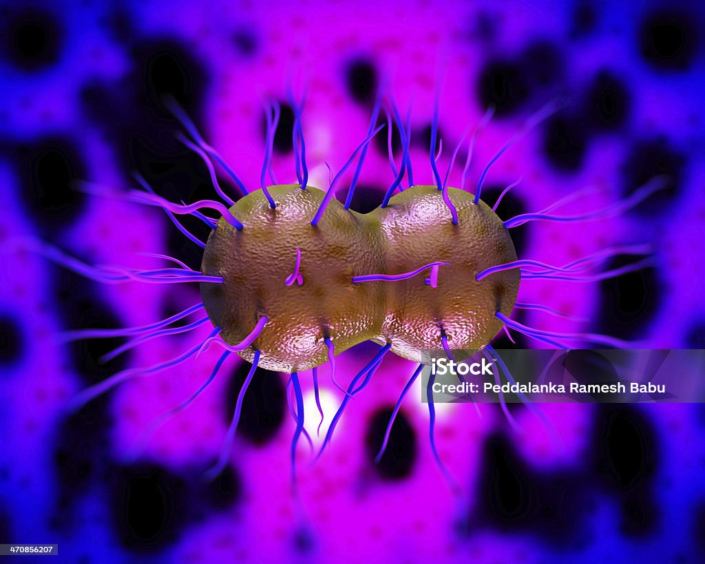 Neisseria gonorrhoeae Bakterien - Lizenzfrei Bakterie Stock-Foto
