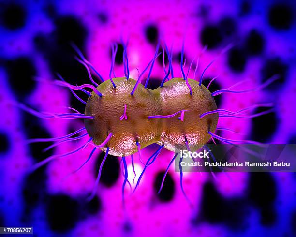 Neisseria Gonorrhoeae Bakterien Stockfoto und mehr Bilder von Bakterie - Bakterie, Fotografie, Freisteller – Neutraler Hintergrund