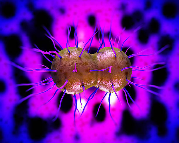 istock Close up computer image of Neisseria gonorrhoeae bacteria 470856207