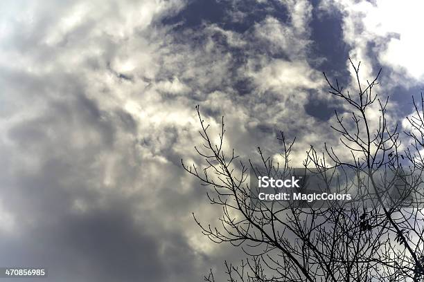 Albero E Blu Cielo - Fotografie stock e altre immagini di Alba - Crepuscolo - Alba - Crepuscolo, Albero, Albero solitario