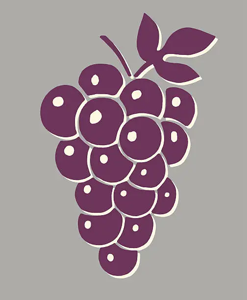 Vector illustration of Grapes