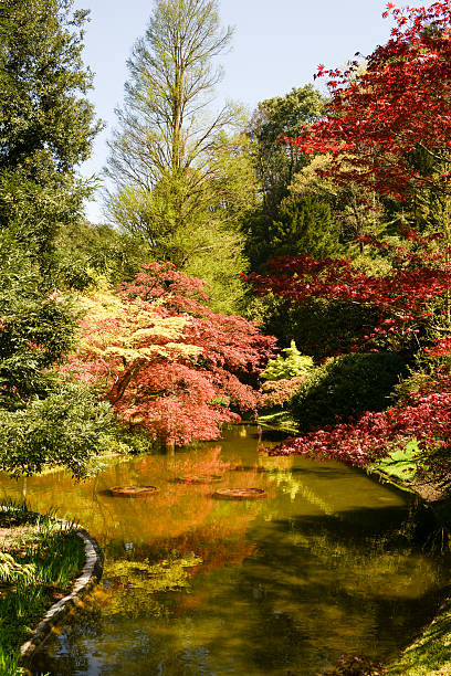 istock Gardens of Villa Melzi on Lake Como 470858050