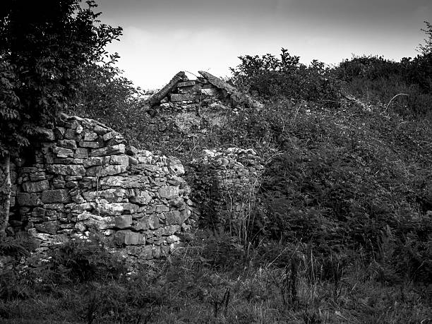 istock Overgrown Famine Cottage 470858447
