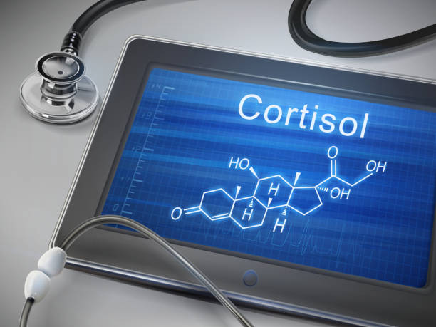 cortisol word display on tablet vector art illustration