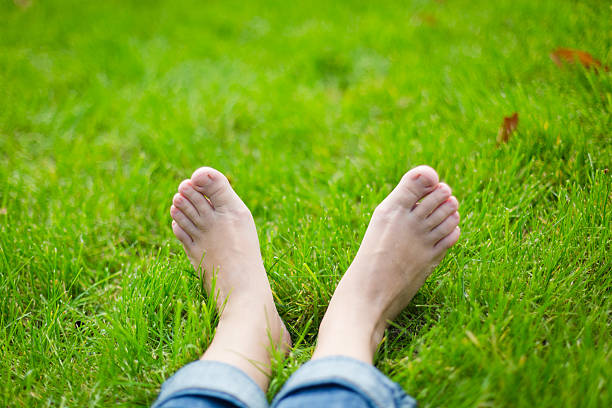 istock Child's bare feet on green grass 470863509