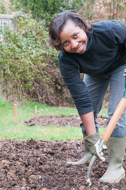istock Happy African American Woman Preparing Vegetable Patch 470871111