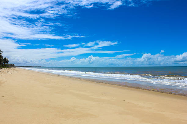 Beach in Prado, city in south Bahia, Brazil View of a beach in Prado city, in south Bahia, Brazil. sand river stock pictures, royalty-free photos & images