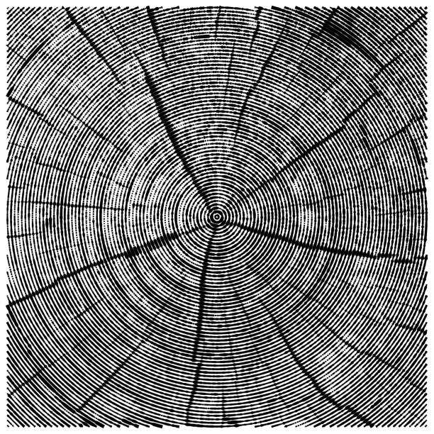 illustrations, cliparts, dessins animés et icônes de vector illustration de la gravure de la scie coupe tronc d'arbre. - wood rough plank textured