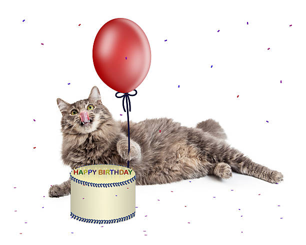 istock Cat With Birthday Cake and Balloon 470894960