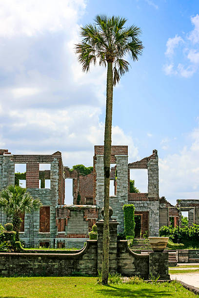 ruínas da mansão dungeness, cumberland island, ga - cumberland island imagens e fotografias de stock