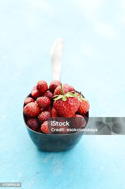 Wild Strawberry In Metal Scoop On Blue Background Stock Photo - Download Image Now - 2015, Backgrounds, Berry Fruit