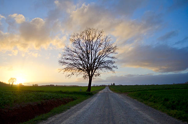 istock Tuscany at sunset in the countryside 470902432