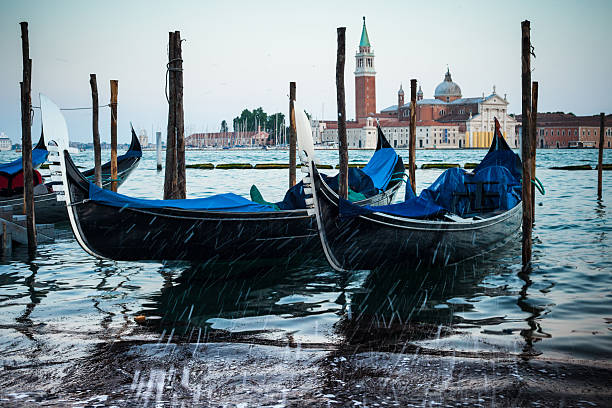 470+ Venice Louisiana Photos Stock Photos, Pictures & RoyaltyFree