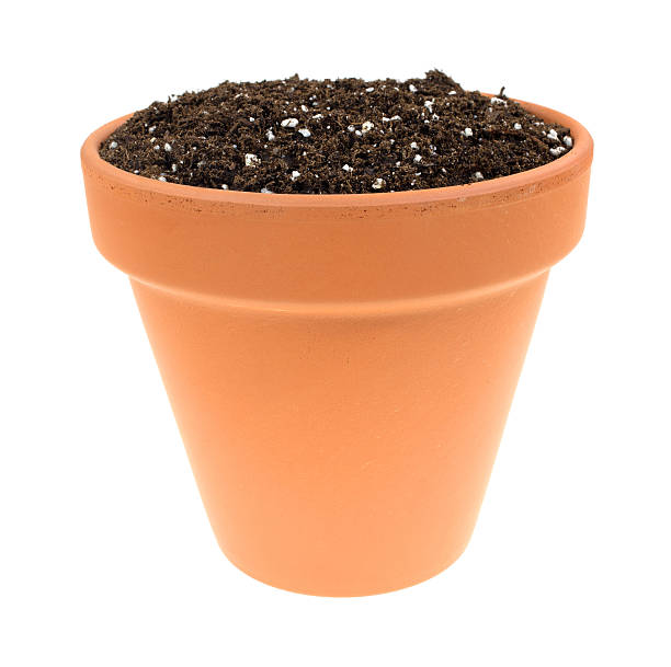 istock Organic potting soil in clay pot 470908506