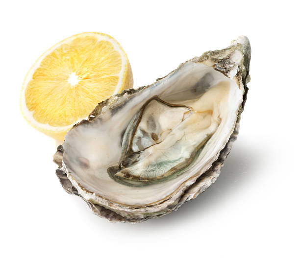 istock Fresh oyster and half of lemon 470908760