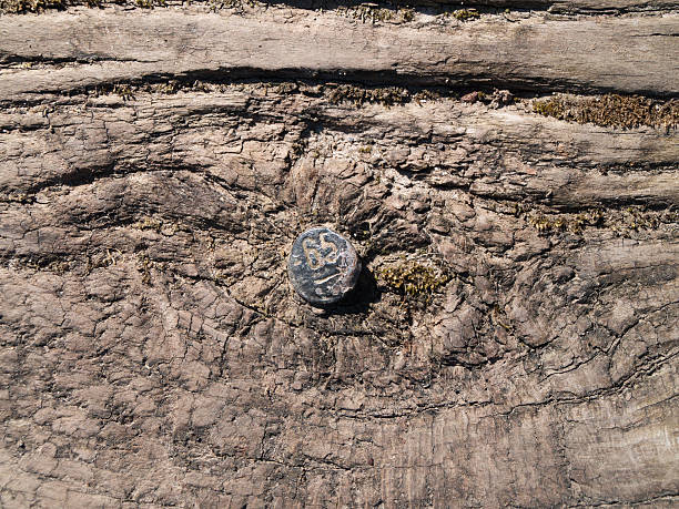 istock Old wooden beam with a metal pin 470909198