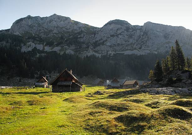 istock mountain meadow Planina V Lazu 470918028