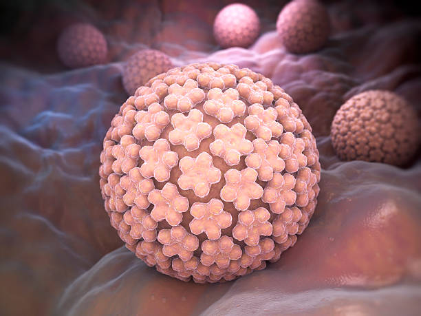 Papilloma Virus. HPV stock photo