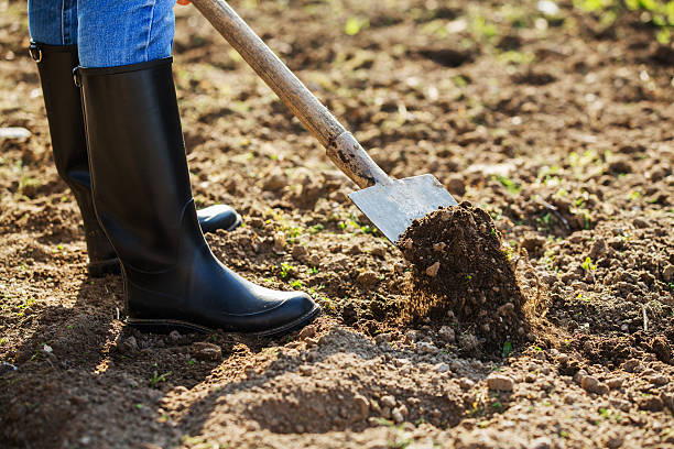 istock Boot shoveling ground in the garden 470919466