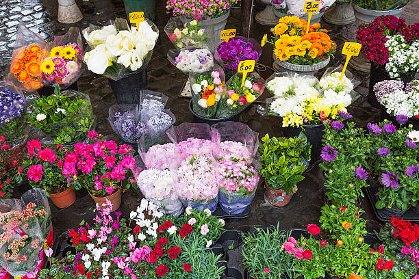 ディスプレイ上のカラフルな花で、市場でローマ（イタリア） - rome flower market store flower ストックフォトと画像