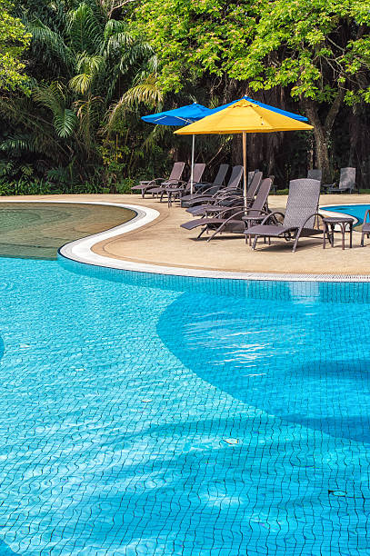 il relax - luxury hotel palm tree lush foliage asia foto e immagini stock