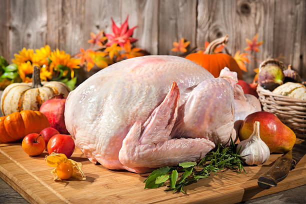 Thanksgiving turkey stock photo