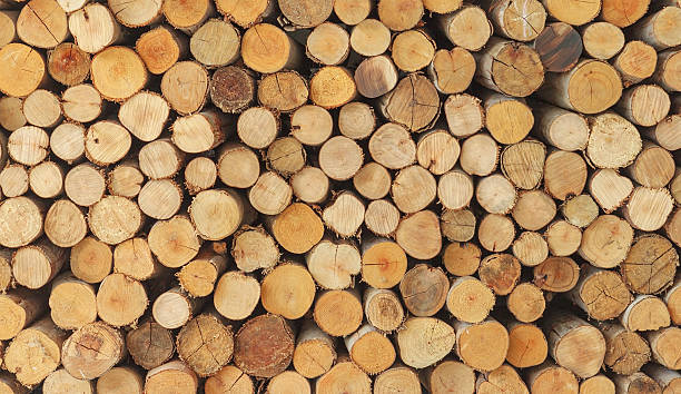 istock Cross section of the timber, firewood stack for the background 470923792