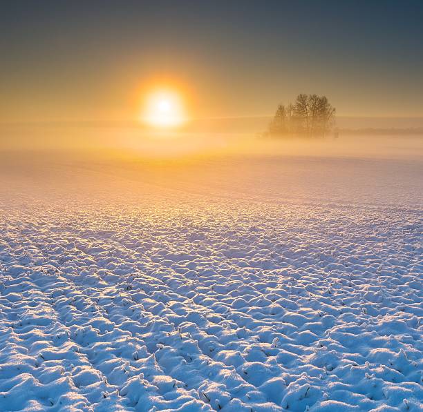 istock Beautiful winter field landscape. 470927008