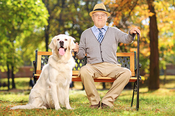 istock Senior man sitting on bench with his dog in park 470929475