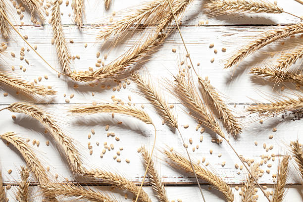 istock Close up of wheat on white table 470931652