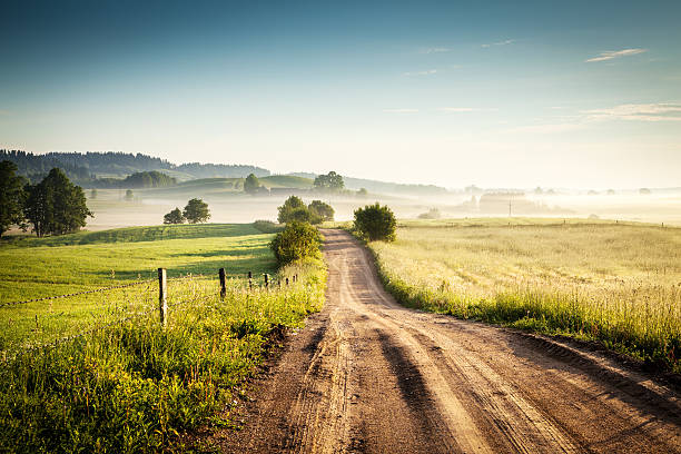 manhã country road até a paisagem de nevoeiro de paisagem colorida - rolling hill field green - fotografias e filmes do acervo