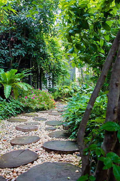 istock summer garden in  the Asian 470935245