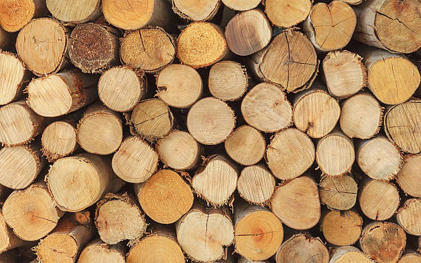 istock Cross section of the timber, firewood stack for the background 470937466