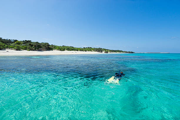 istock Man snorkeling in tropical lagoon paradise by white sand beach 470939558