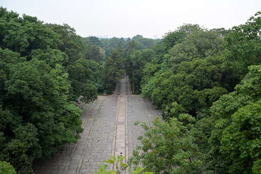 lush and green landscape view from top of the historical Ming Xiaoling Mausoleum, the tomb of the Hongwu Emperor, the founder of the Ming dynasty. It is located at the foot of Purple Mountain, east of the historical centre of Nanjing, China. 