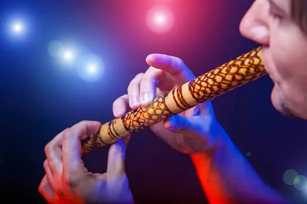 Photo of musician playing tin whistle