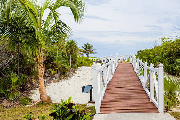 istock Romantic Walkway to the Beach 470953506