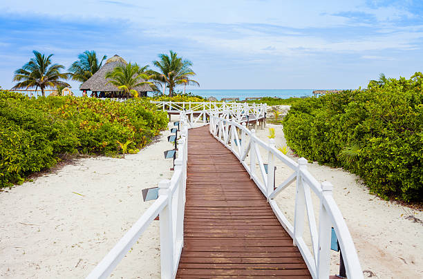 istock Romantic Walkway to the Beach 470953508