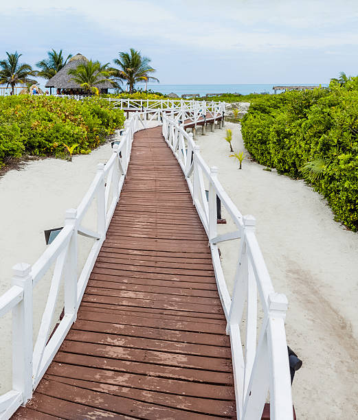 istock Panorama XXL - Romantic Walkway to the Beach 470953510