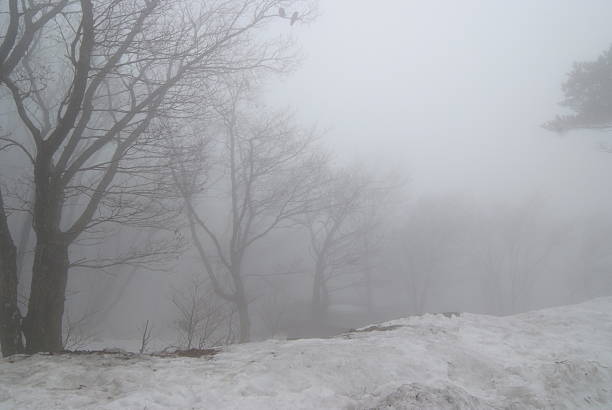 jeju smoke fog
