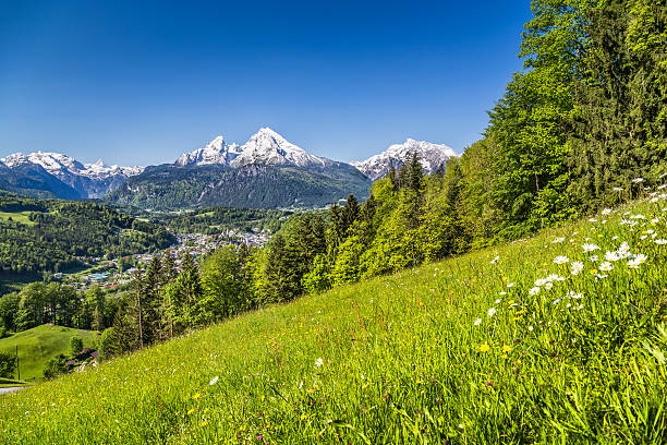 istock Background of the Alps in the summer with greenery 470954896