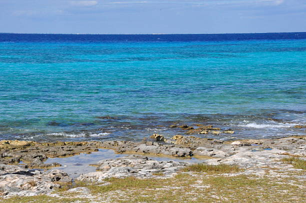 istock Beach in Cozumel, Mexico 470959814