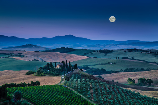 Scenic Tuscany landscape with rolling hills and valleys in beautiful moonlight at dawn, Val d'Orcia, Italy.