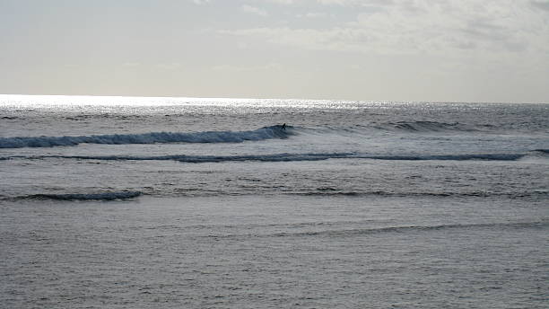 男性一サーフィン、西オーストラリア州 - surfing surf wave men ストックフォトと画像