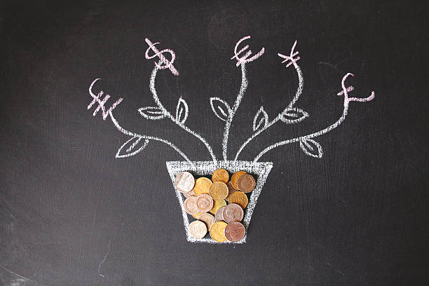 istock Money plant 470963958