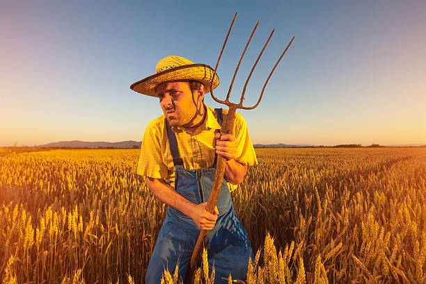 Funny Farmer at the grain field