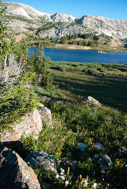 高山の草原、湖のスプリングスノーイー範囲ワイオミング - laramie ストックフォトと画像